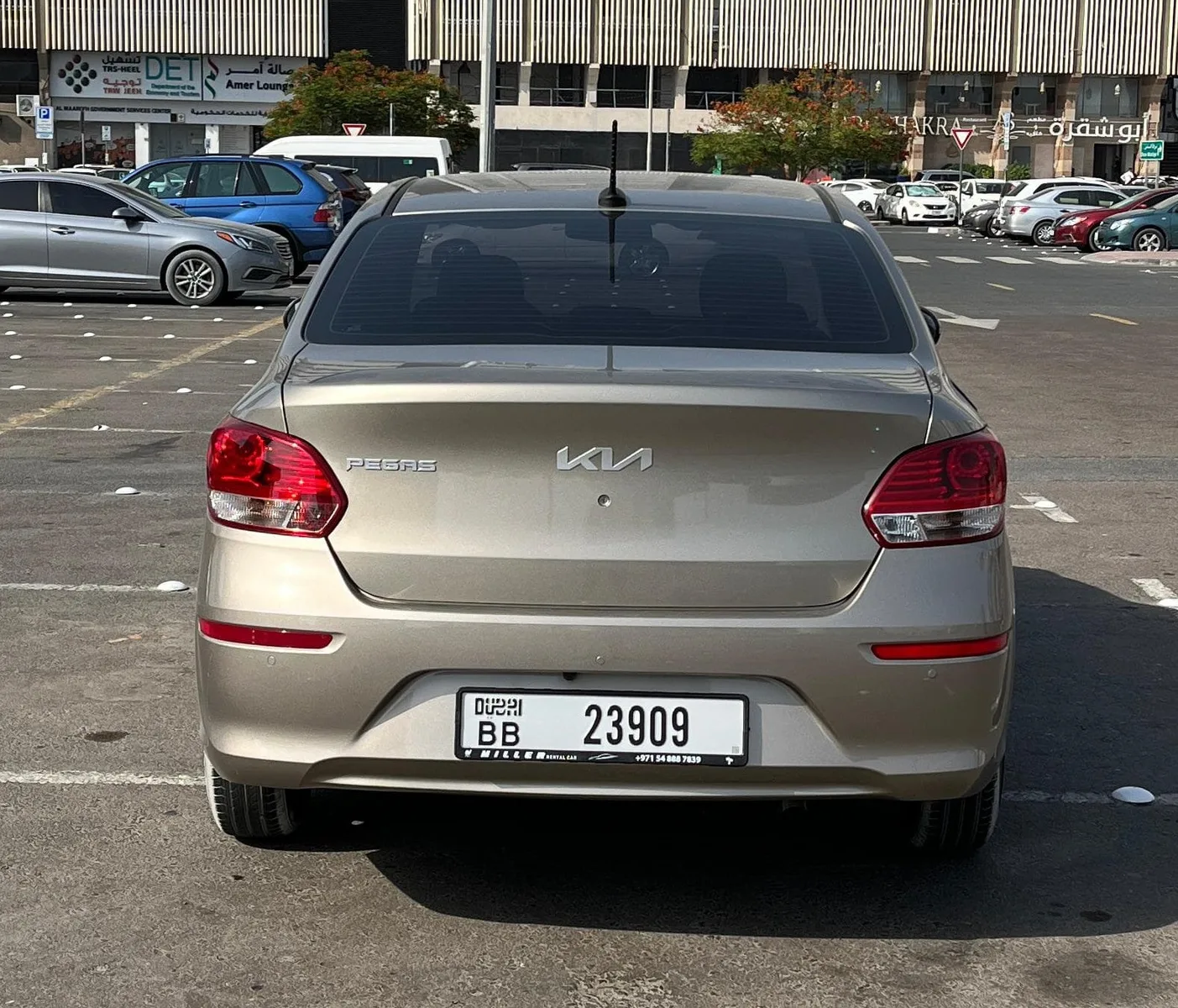 Kia Pegas 2025 - 5